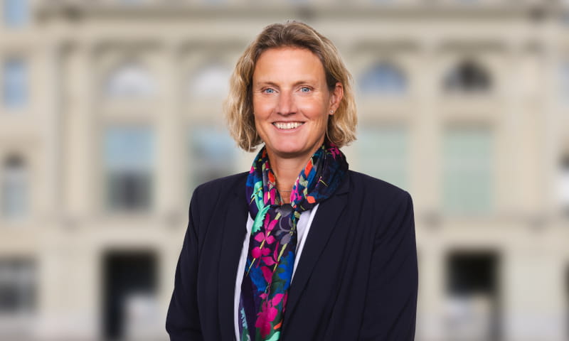 Annelis Lüscher Hämmerli, Mitglied Verwaltungsrat