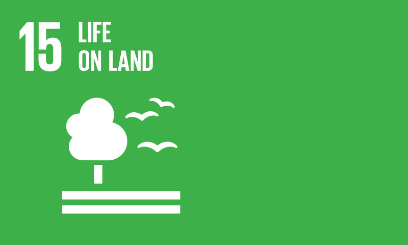 Life on land